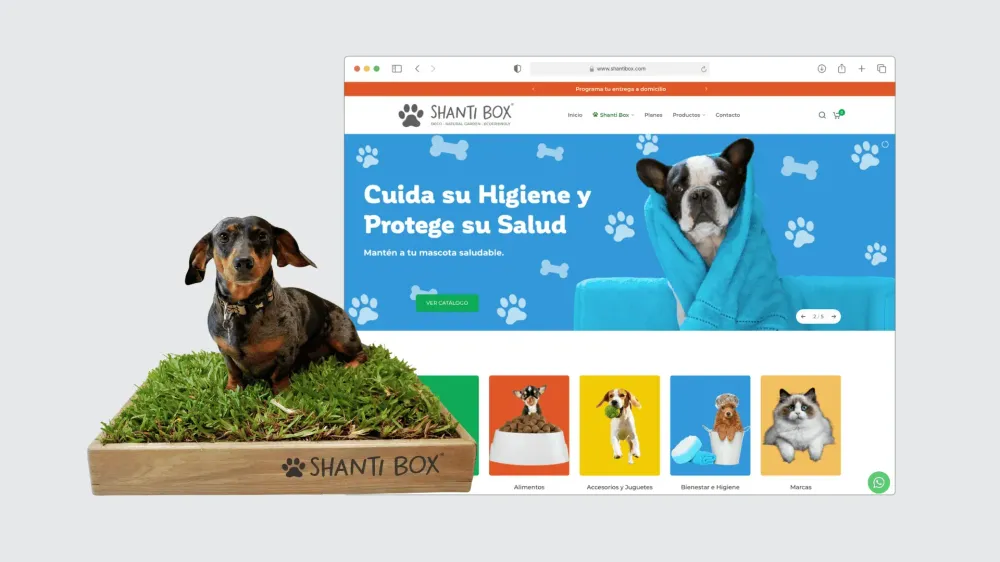 Shanti Box